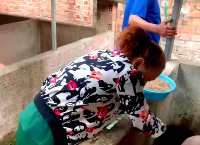Siu Black züchtet Schweine und macht YouTube-Videos Foto 3
