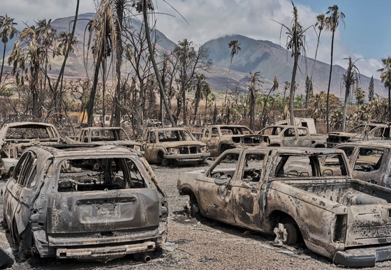 Los incendios forestales en Hawái causan grandes pérdidas de vidas y propiedades. Foto: New York Times