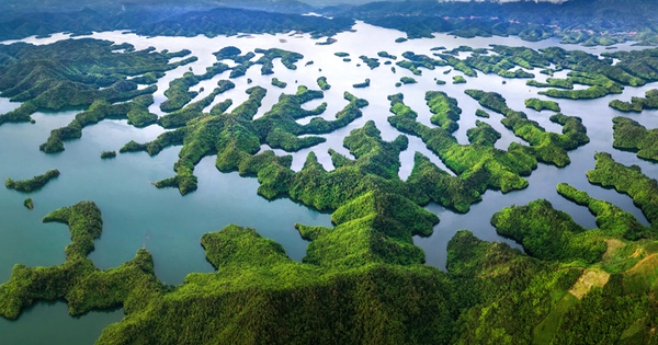 La forêt avec le lac Ta Dung à Dak Nong, Lam Dong possède des lacs, des îles et regorge de magnifiques animaux sauvages.