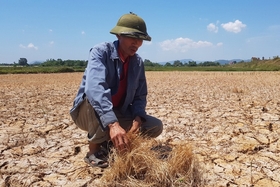 Implementar proactivamente medidas urgentes para responder a los riesgos de calor, sequía, escasez de agua e intrusión de agua salada.