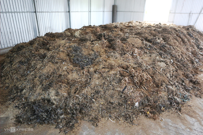 Chicken feathers mixed with rice bran, rice husks, and probiotics are composted for 30-50 days and then dried and put into a grinder. Photo: Dac Thanh