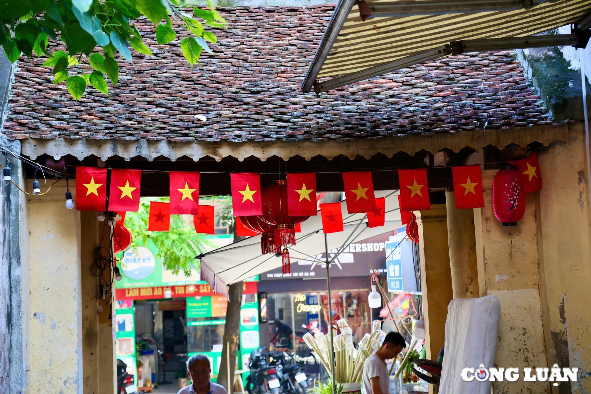 ruc ro co do sao vang truoc cong lang ha noi hinh 2