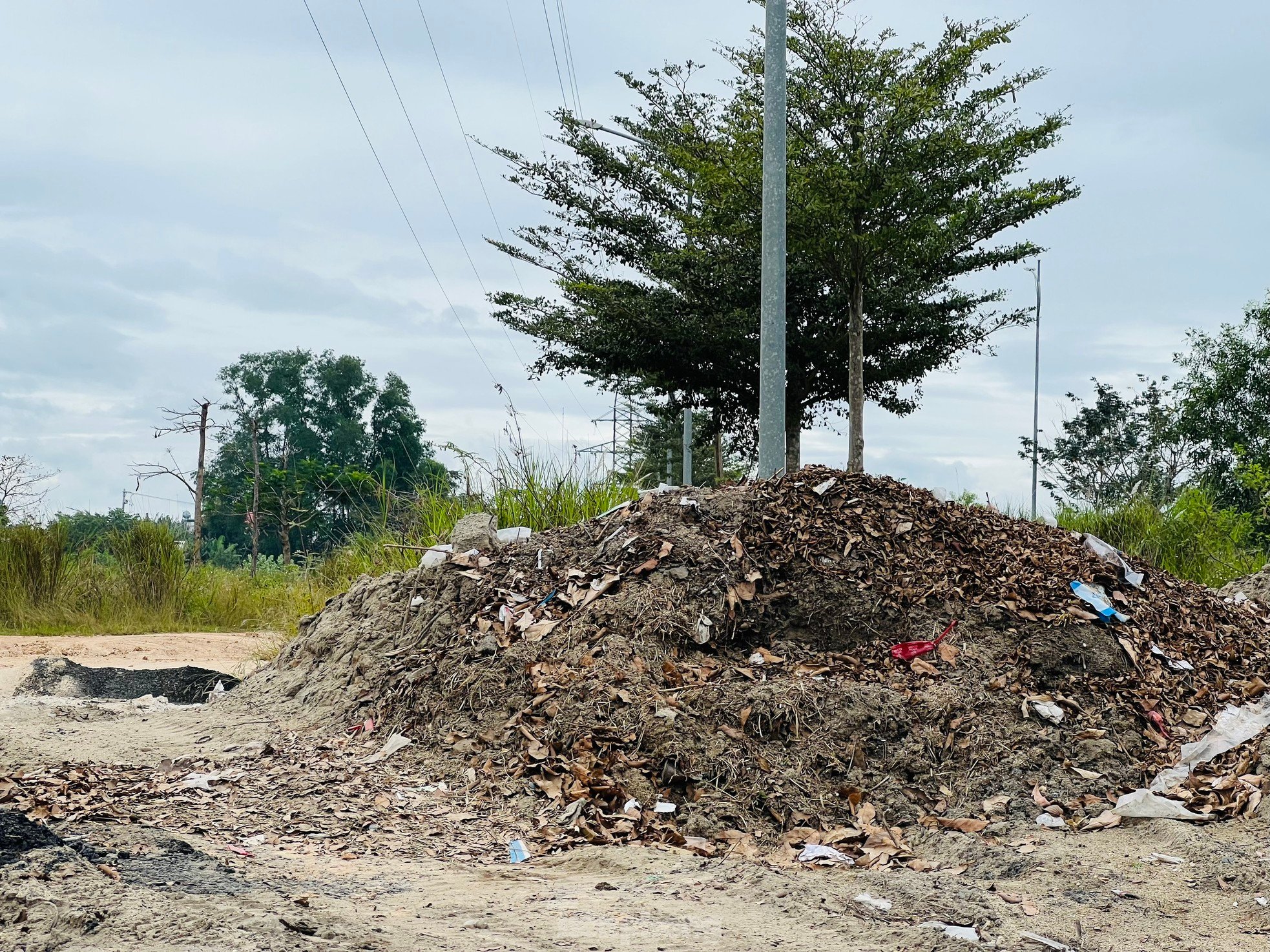 Pasto crecido y basura acumulada en un proyecto residencial de 400 mil millones de dólares en Quang Ngai, foto 7