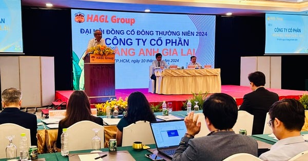 Hoang Anh Gia Lai's goal is to erase accumulated losses this year.