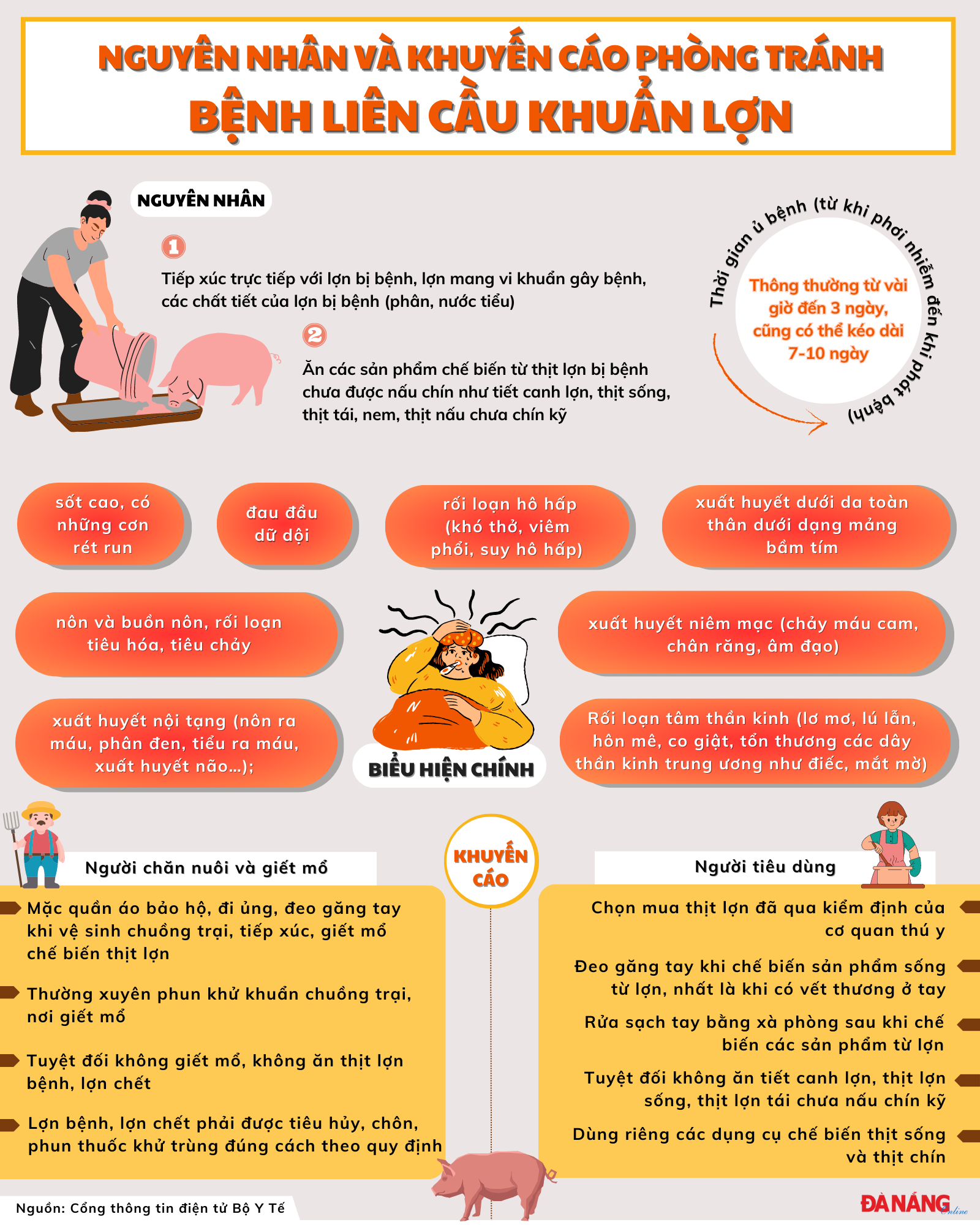 Infographie - Causes et recommandations pour la prévention des infections streptococciques chez les porcs