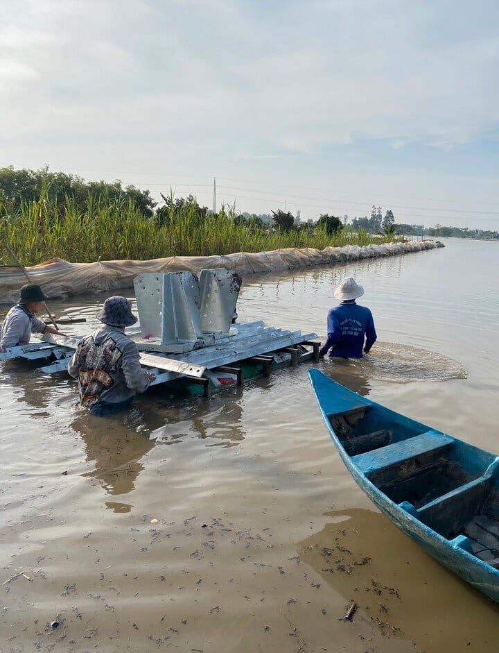 Ngành điện miền Nam xuyên đêm đưa các công trình điện trọng điểm về đích - 4