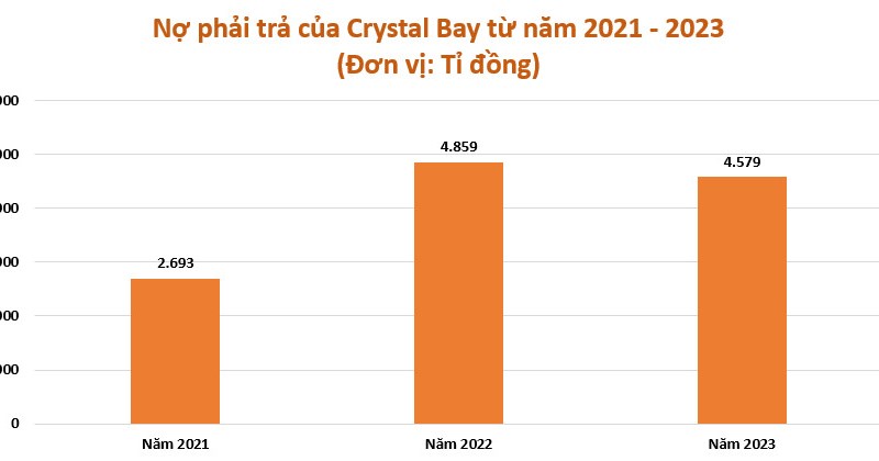 Бизнес Crystal Bay переживает взлеты и падения, долги растут