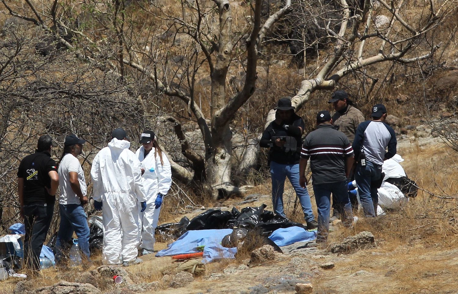 Encuentran 45 bolsas con cadáveres en México foto 1