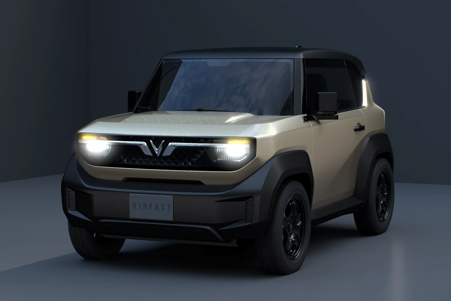 VF 3 is longer than 3.1 meters, designed with 2 side doors and 1 trunk door, 2-row configuration with 5 seats