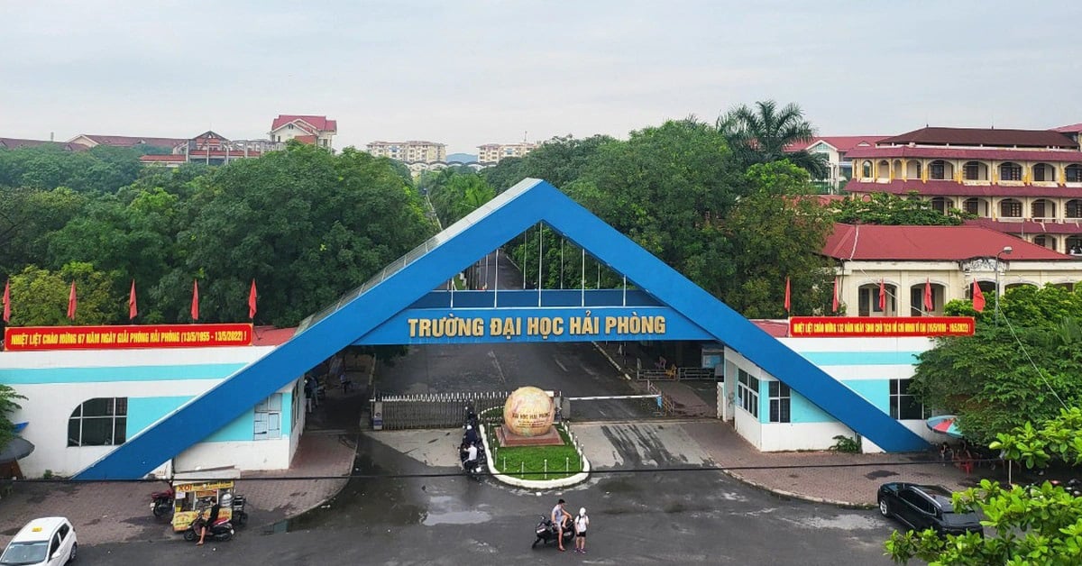 Propuesta para apoyar a profesores que enseñen en la Universidad de Hai Phong con 500 millones de dongs