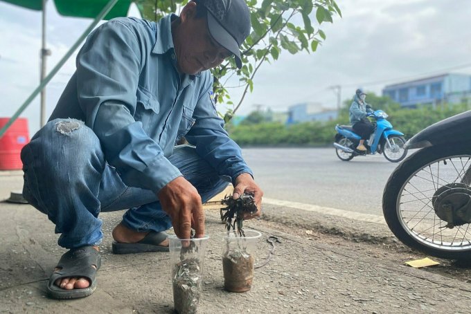 Người dân dùng nam châm hút hàng trăm thỏi thép nhọn trên quốc lộ 1, phường Linh Xuân, ngày 20/11. Ảnh: Hồ Đinh