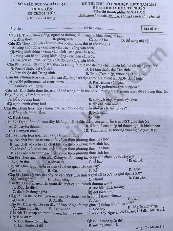 Đề thi thử môn Sinh học tốt nghiệp THPT 2024 có đáp án của Hưng Yên- Ảnh 1.