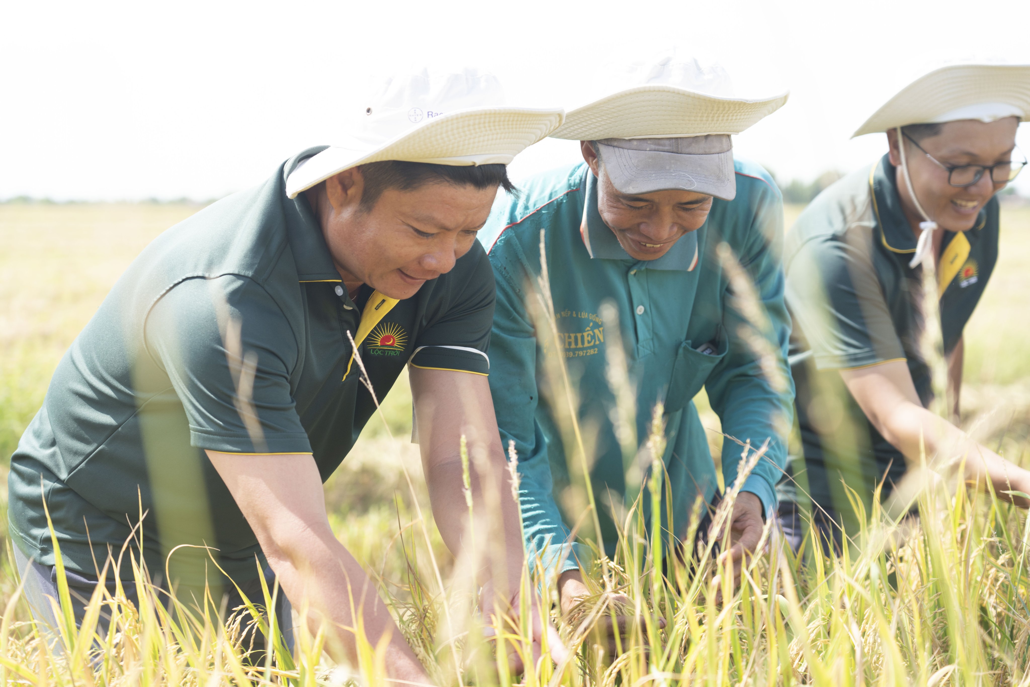 Tài chính - Ngân hàng - Lộc Trời nhận gói tín dụng 90 triệu USD từ ngân hàng Hà Lan (Hình 2).