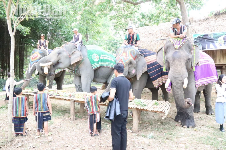 [Photo] ท่องเที่ยวแบบเป็นมิตรกับช้าง ภาพที่ 1