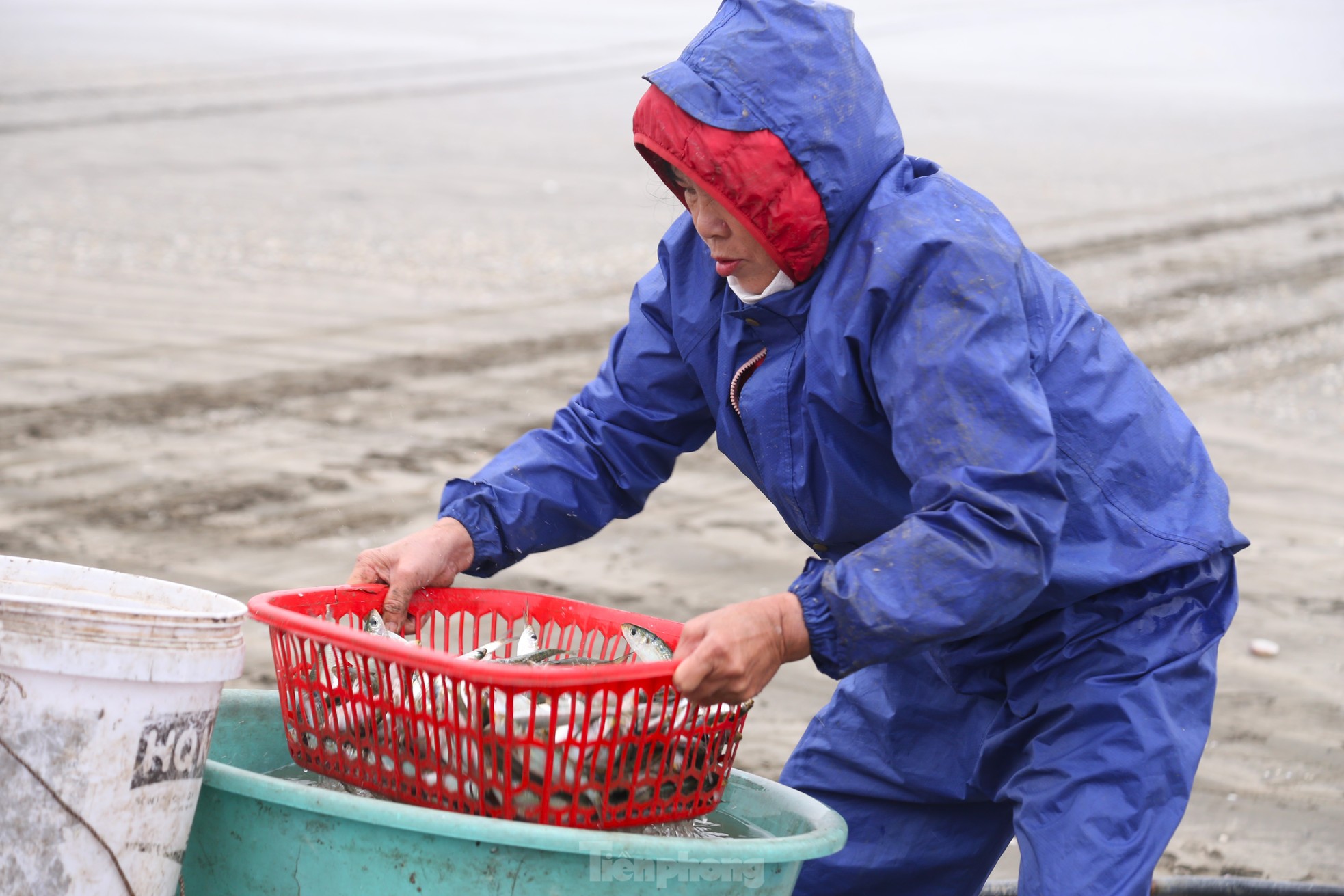 真夜中の波間を釣り、高たんぱく質の魚を捕まえる。漁師の手は魚を外すのに疲れている。写真11