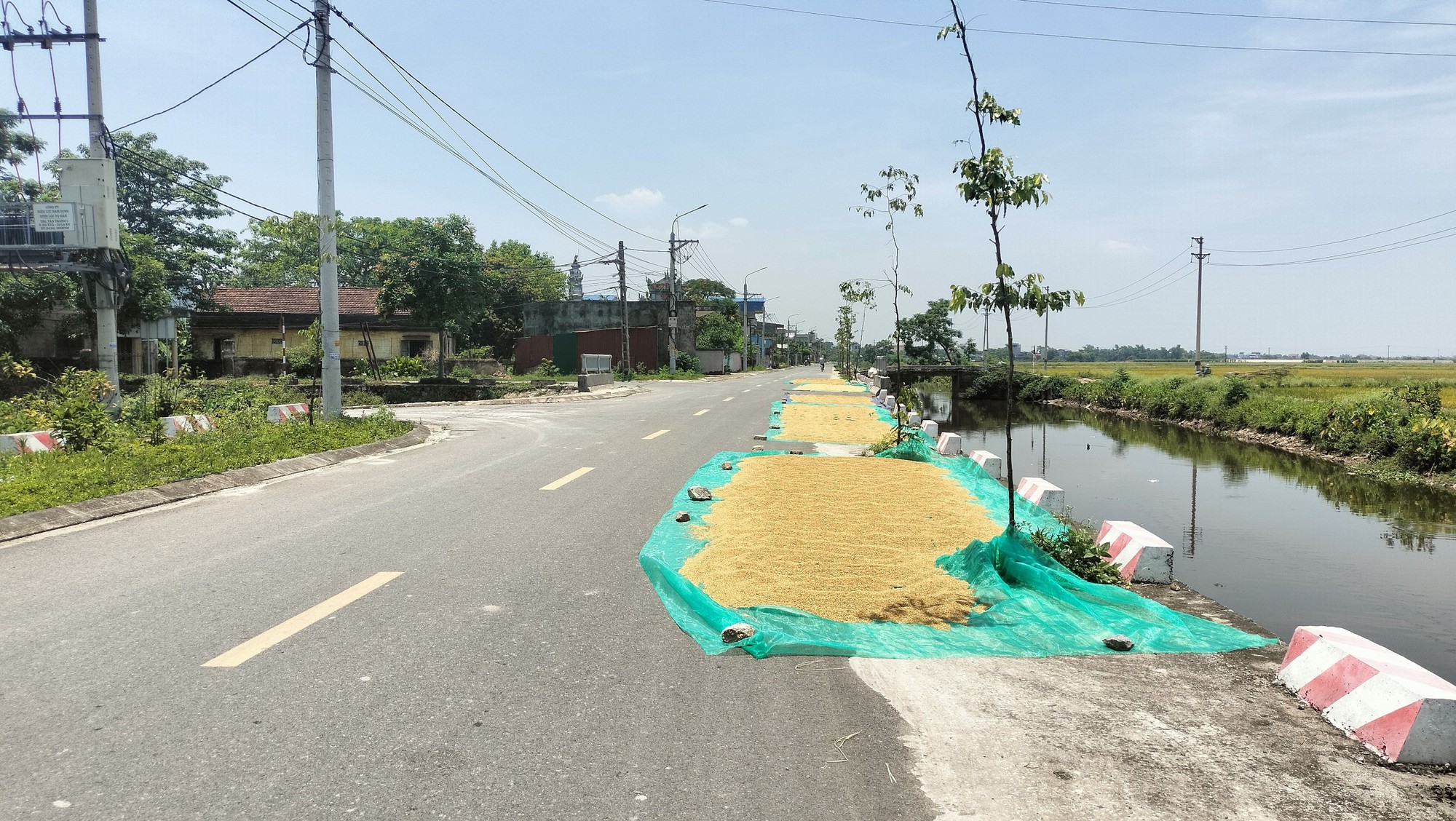 Nam Định: Xử lý hình sự trường hợp phơi thóc trên đường giao thông gây hậu quảnghiêmtrọng - Ảnh 1.