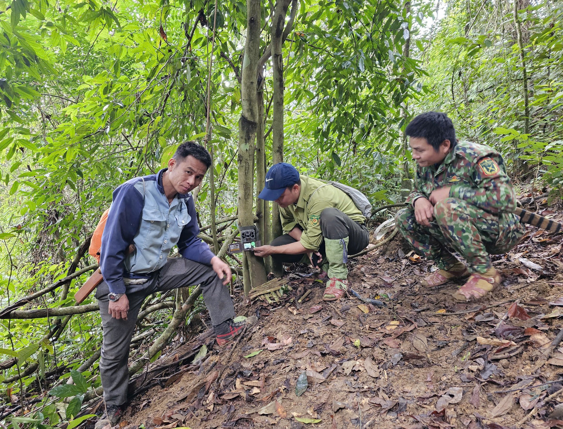 Ranger journey into the forest to set camera traps in Pu Huong Nature Reserve photo 9