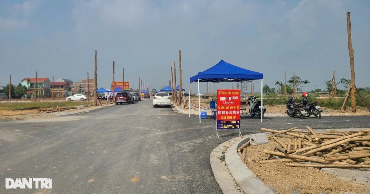 Thanh Oai District stops auctioning nearly 200 land lots, returns deposits