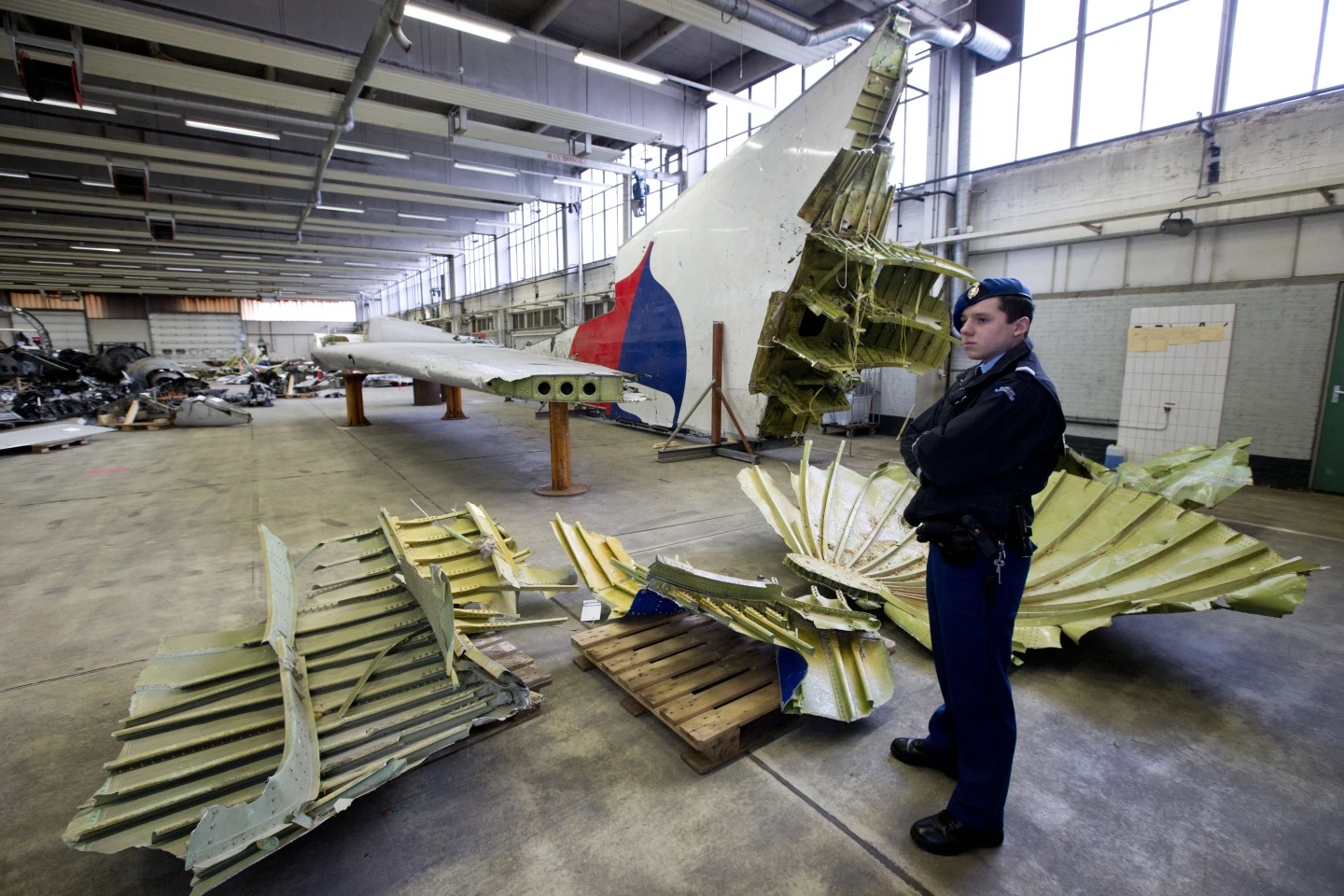 Countries commemorate 10 years of MH17 air disaster picture 4
