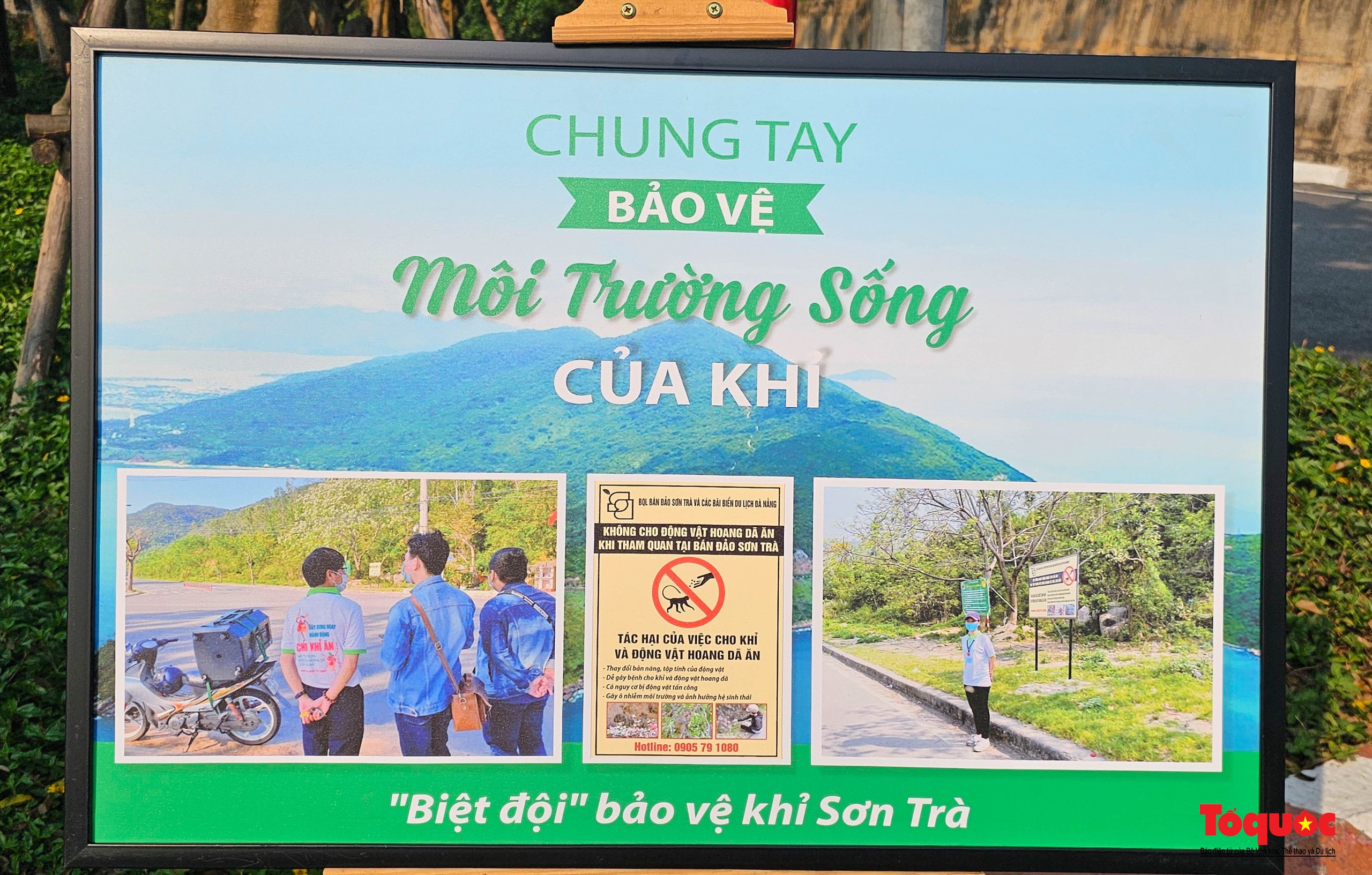 Hơn 700 người nhặt rác, kêu gọi cộng đồng chung tay xây dựng hình ảnh bán đảo Sơn Trà là “điểm đến du lịch Xanh” - Ảnh 14.