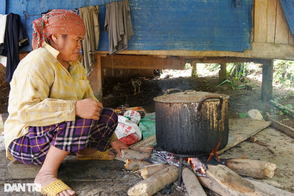 Hộ đồng bào thoát nghèo với heo đen bản địa - 3