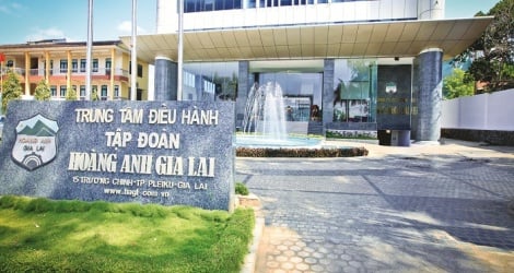 Hoang Anh Gia Lai's third quarter profit is over 350 billion VND