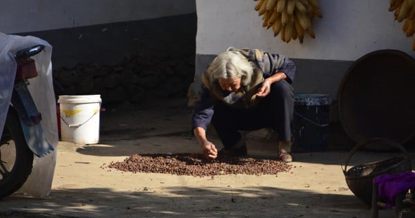 Không hề nuối tiếc mà còn thấy an tâm