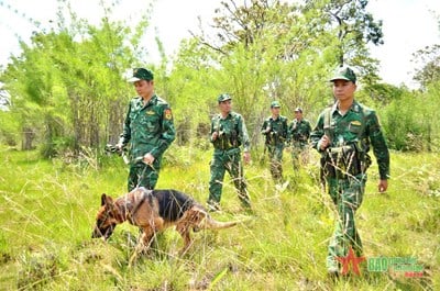 La Guardia Fronteriza Provincial de Dak Lak refuerza la protección de la frontera y el área durante el Día Nacional el 2 de septiembre