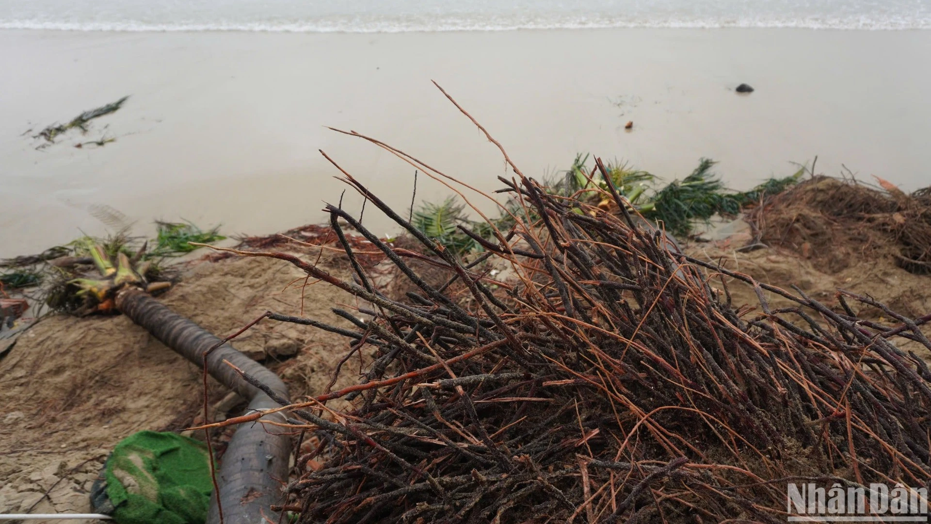 [Photo] More than 100m of Da Nang coastline was eroded by waves, seriously damaged photo 1