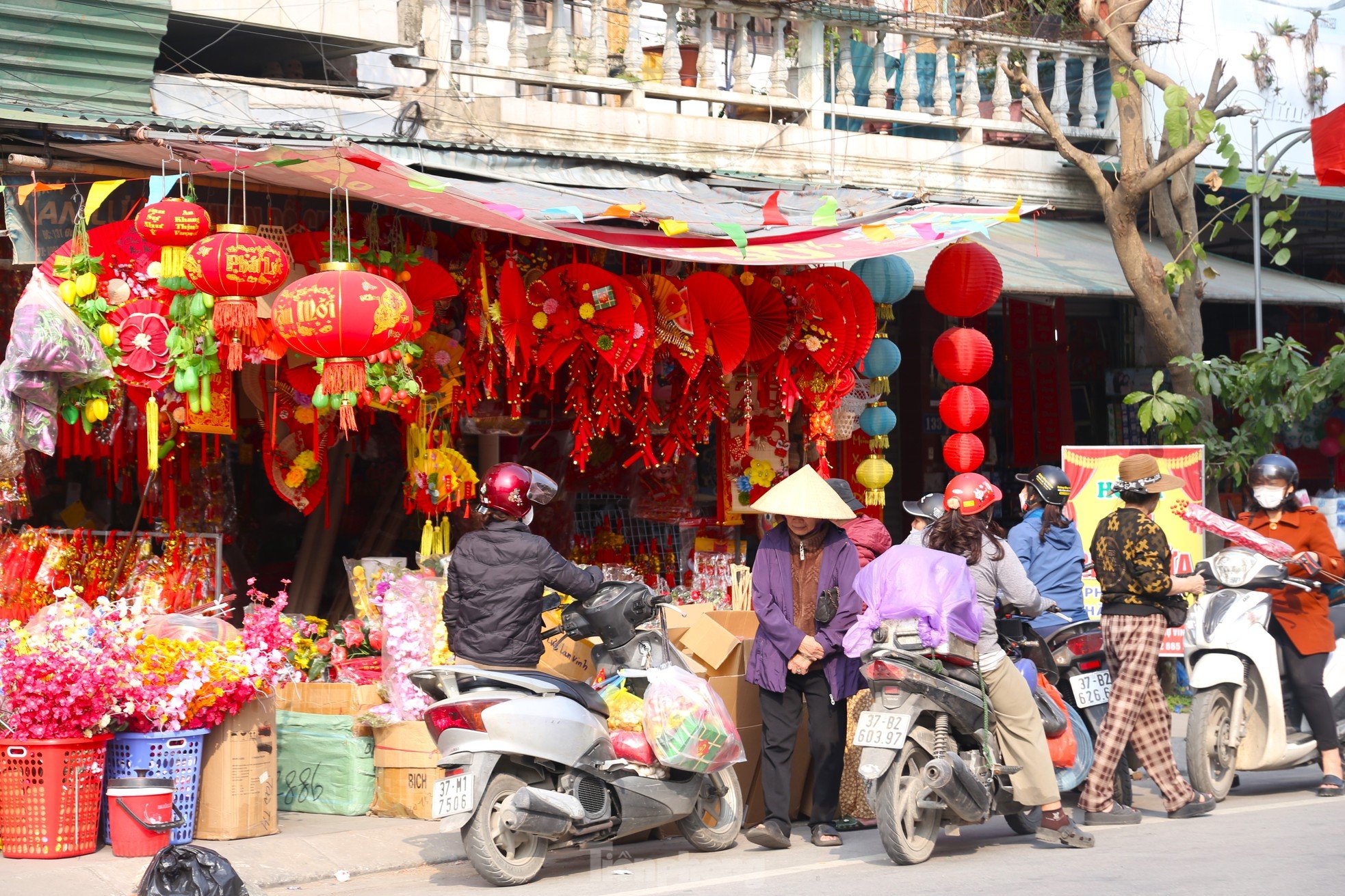 Le printemps arrive avec éclat dans la plus grande rue vendant des décorations du Têt à Nghe An photo 11