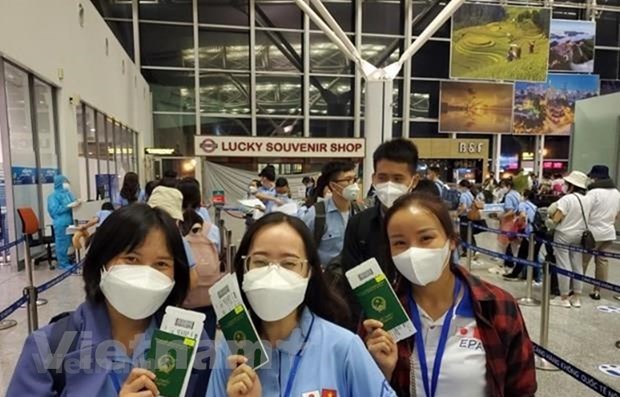 Lao dong di lam viec o nuoc ngoai bi lua chu yeu do theo cong ty 'ma' hinh anh 4