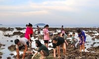 Viele Menschen strömen zum Meer und „bedrohen“ die Korallenriffe der Nha Trang-Bucht