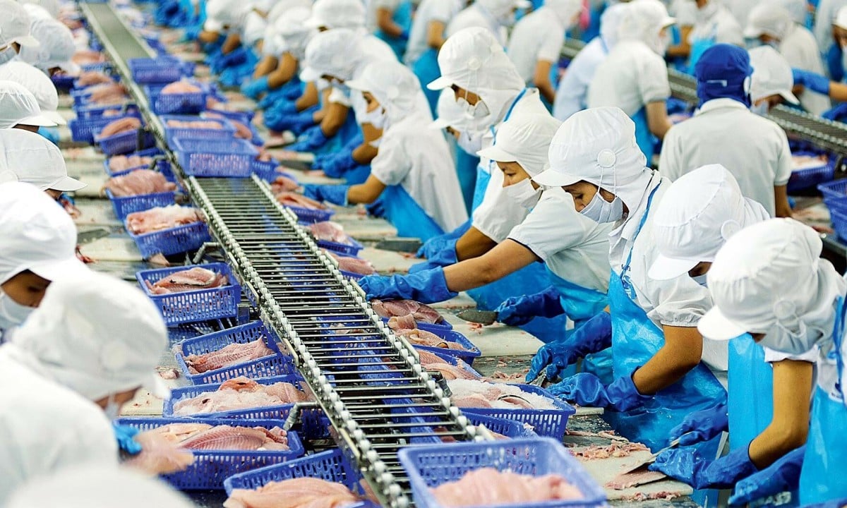 La « Pangasius Queen » perd près de 40 milliards de dollars en actions