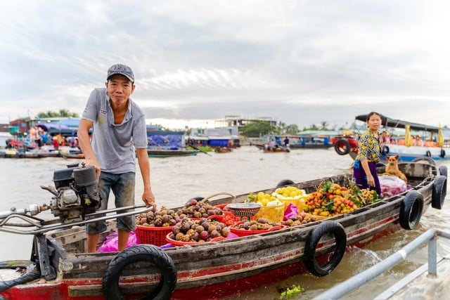 Cần Thơ tổ chức nhiều hoạt động chào năm mới 2025 và kỷ niệm các ngày lễ lớn - Ảnh 1.