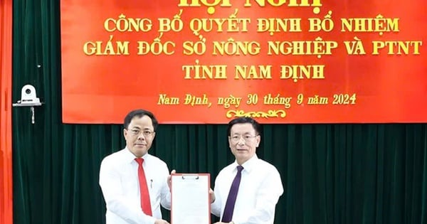 Nam Dinh nombra a muchos líderes en puestos clave