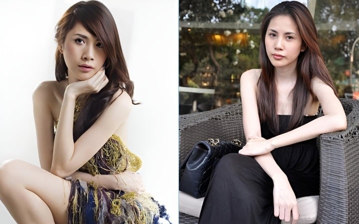 2010 marked a change in Thuy Tien's appearance. She actively lost weight to have a slim figure, a slim face, and a high nose bridge.