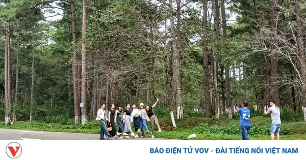 On Independence Day, tourists enjoy exploring the Mang Den wilderness