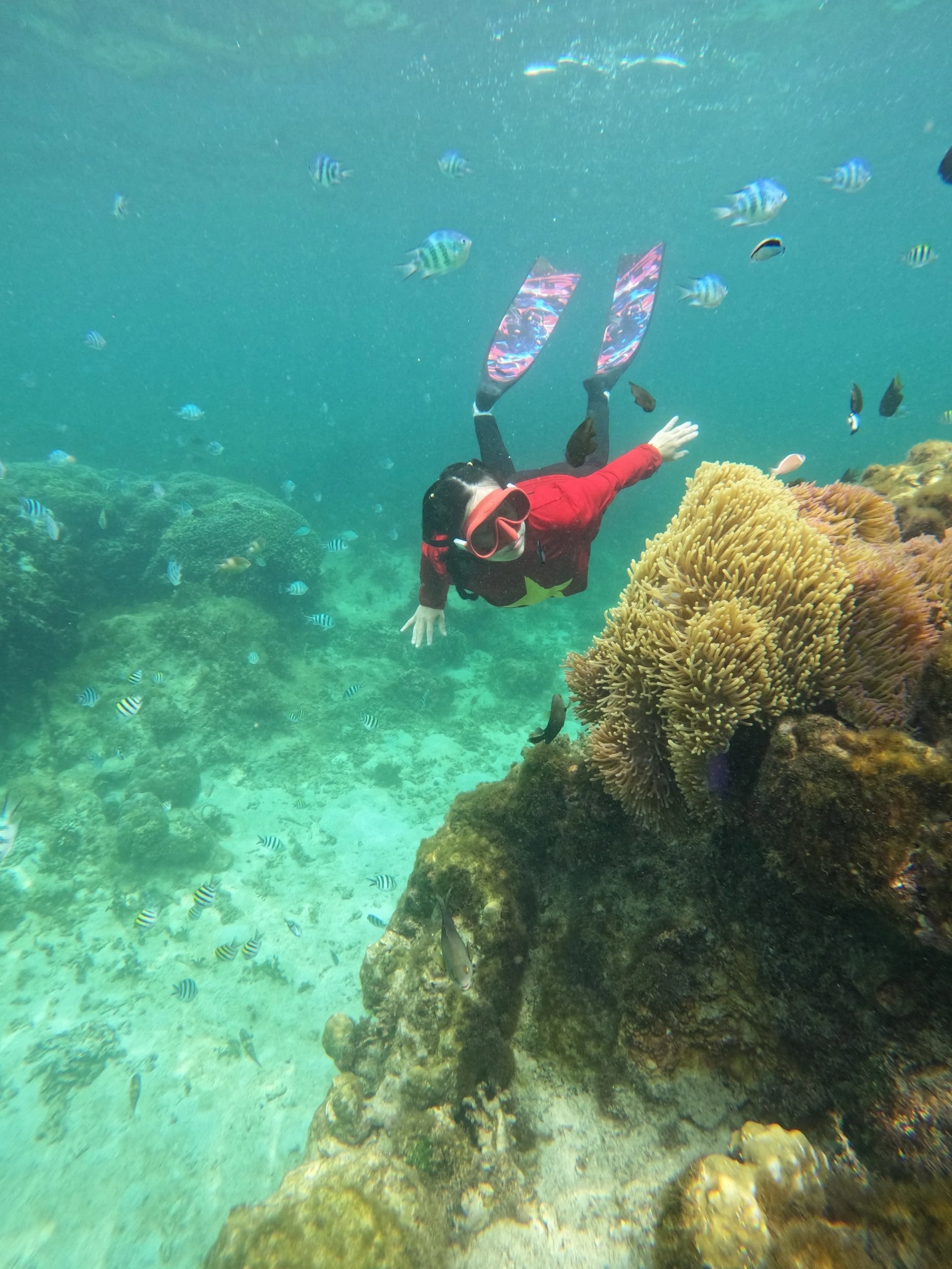 Explora el mágico océano con el turismo de buceo foto 3