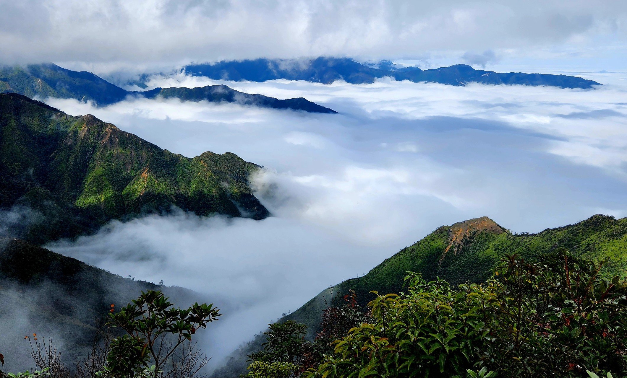 Le paradis des nuages ​​de Ta Xua fascine les touristes à chaque saison