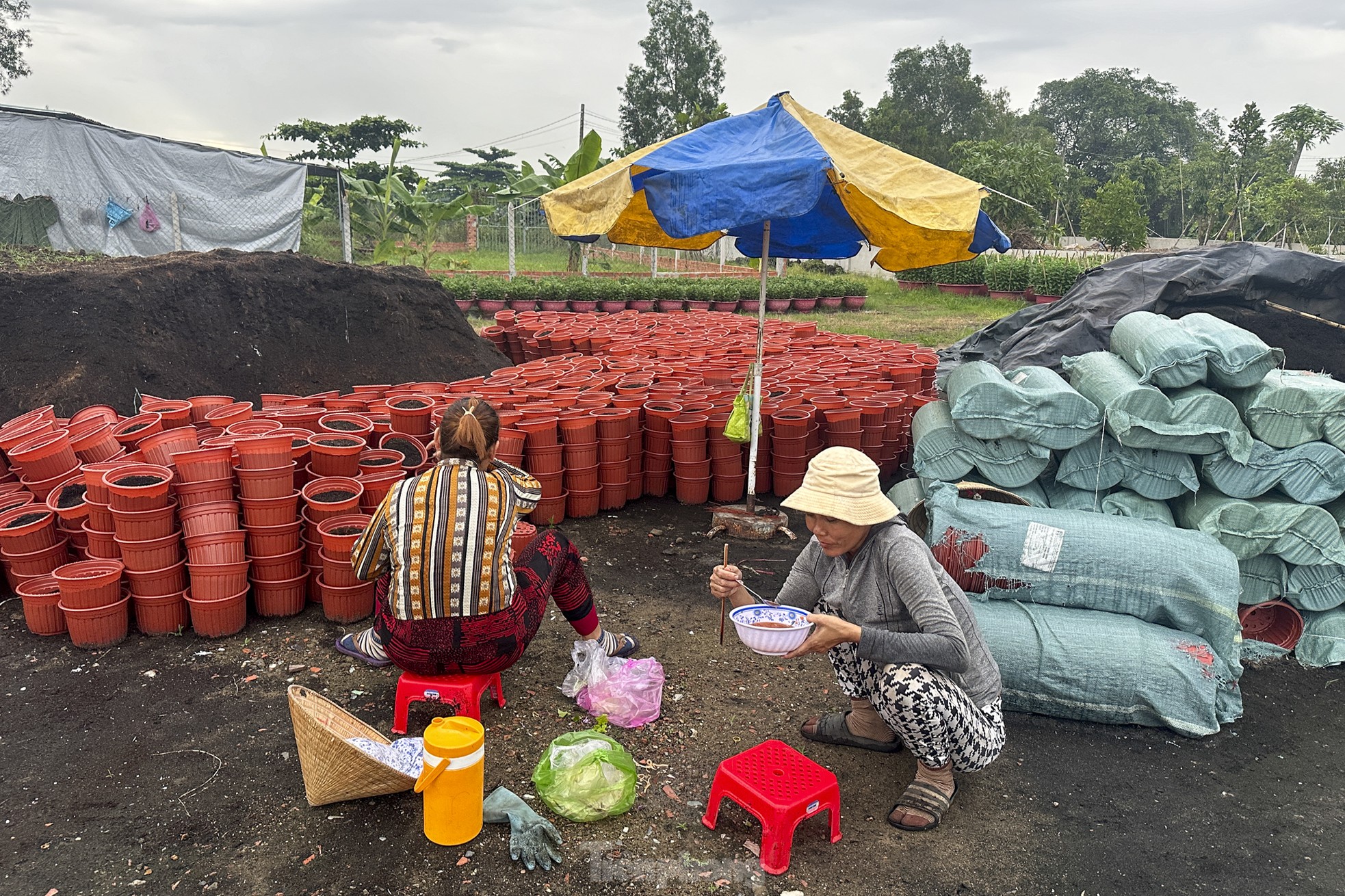 El pueblo de flores del Tet más grande de la ciudad de Ho Chi Minh está 'distorsionado' por el clima foto 8