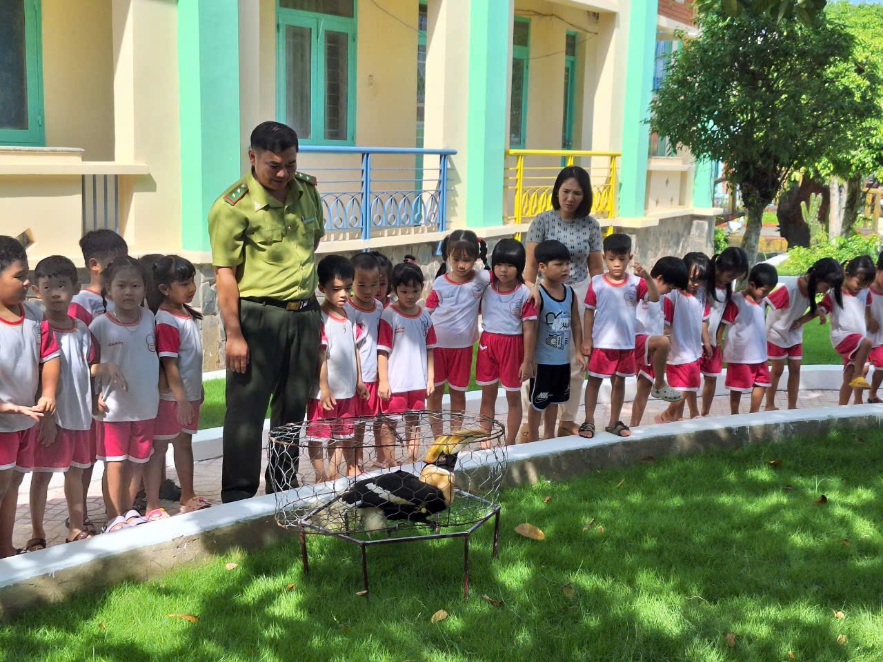 Chim hồng hoàng quý hiếm xuất hiện trong khu dân cư ở Biên Hòa - Ảnh 2.