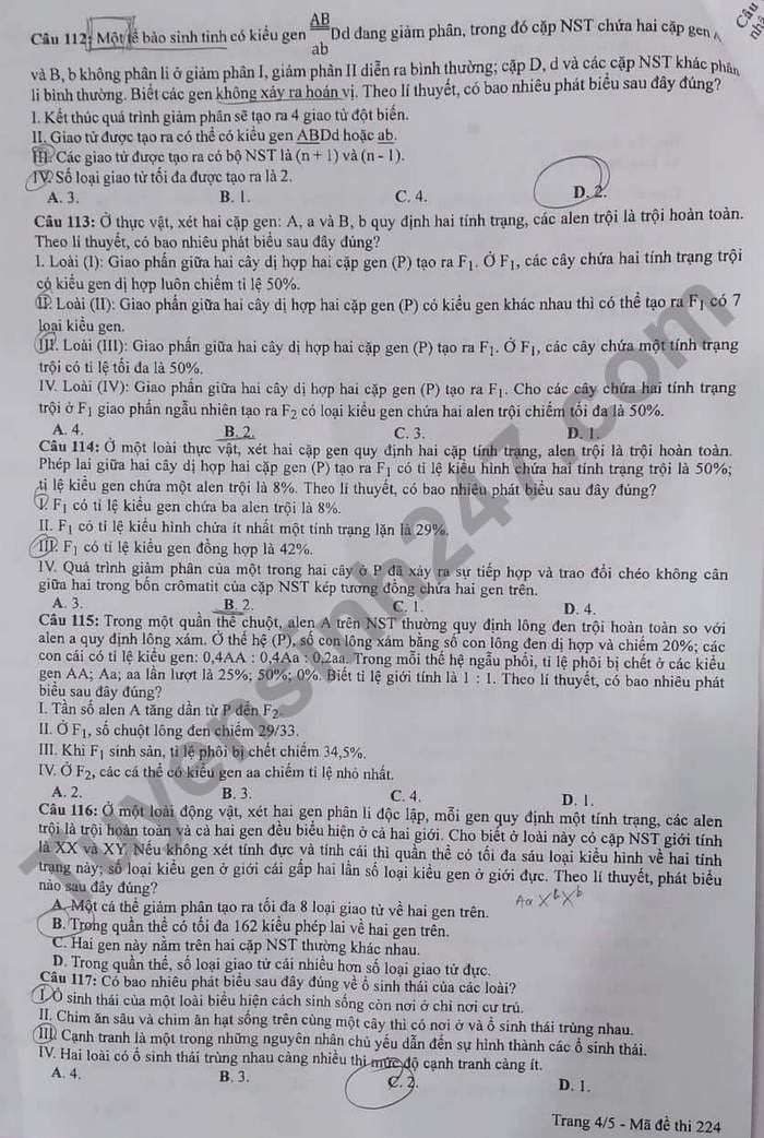 Đề thi môn Sinh học tốt nghiệp THPT 3 năm gần đây có đáp án tất cả mã đề- Ảnh 11.