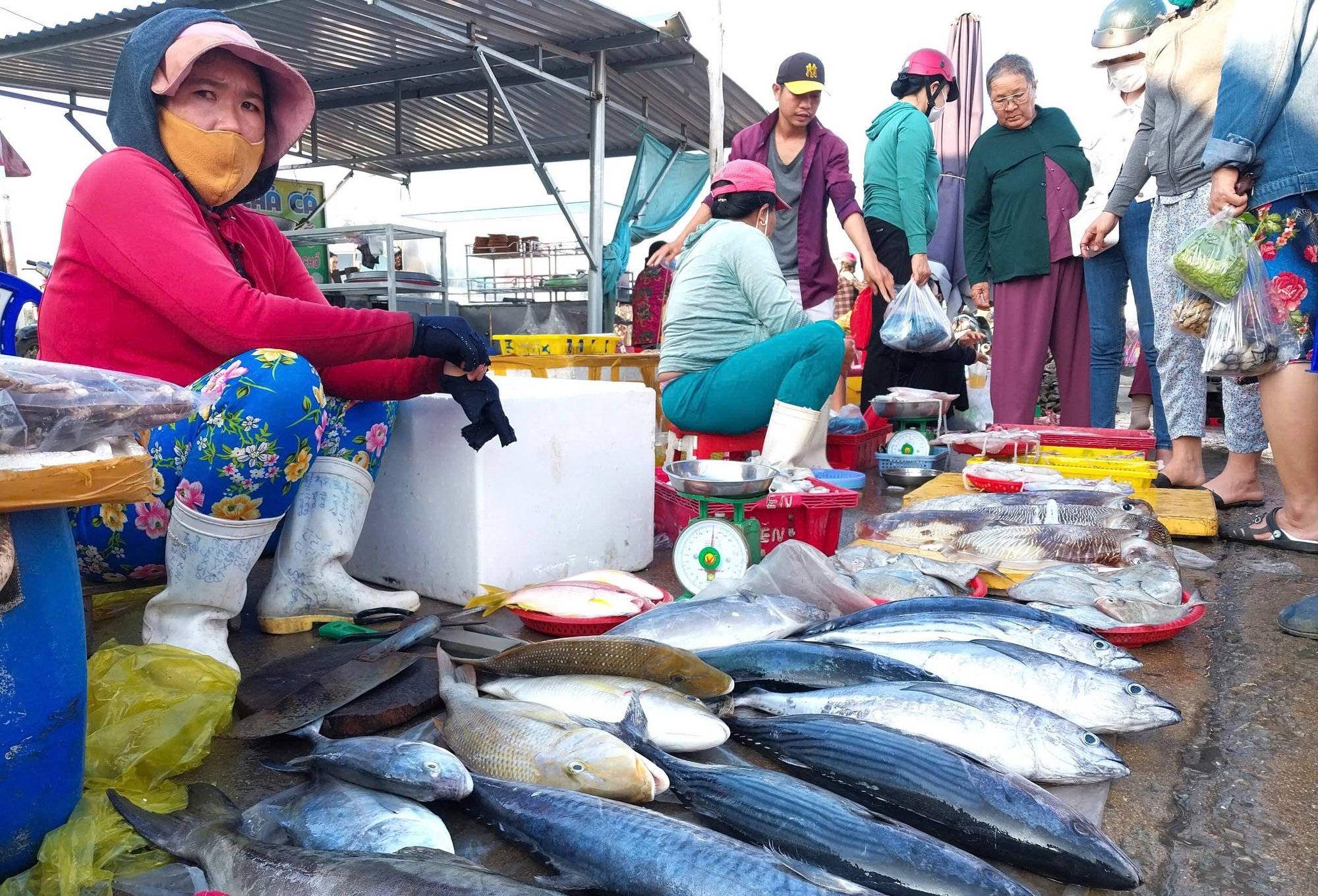 Tàu cá đồng loạt nằm bờ vì gió lớn, ngư dân Ninh Thuận lo mất Tết - Ảnh 5.