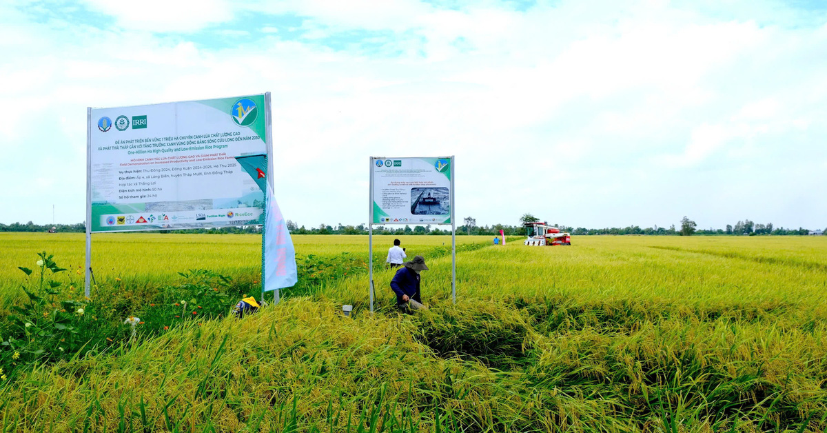 កាត់បន្ថយការប្រាក់កម្ចីយ៉ាងតិច 1% នៅពេលចូលរួមក្នុងខ្សែសង្វាក់តភ្ជាប់ស្រូវគុណភាពខ្ពស់ 1 លានហិកតា