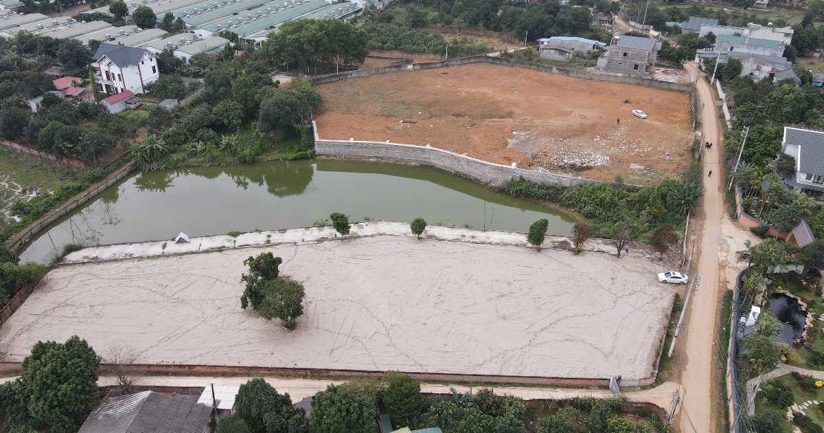 土地の分割と売却の厳格化：広大な土地を保有する投機家は逃げ出すのか？