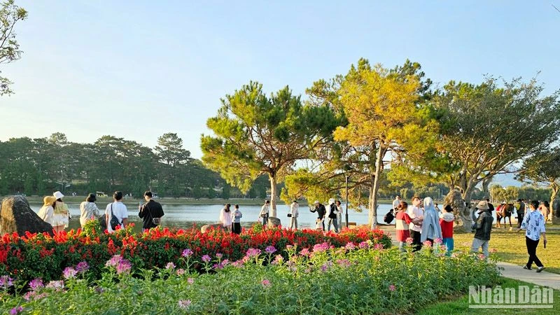 Spring tourists to Da Lat increased by more than 60% compared to the same period in 2023