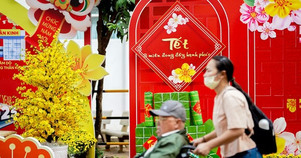 Patients in wheelchairs watch special flower street in hospital on Tet holiday