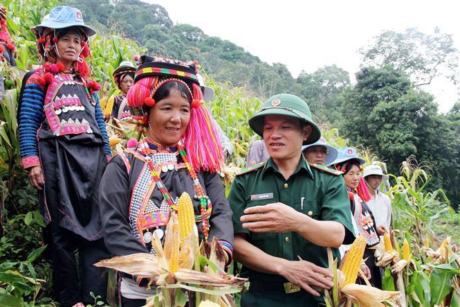 Lai Chau Border Guard officers guide ethnic minorities in border areas to take care of plants and develop rural economy. (Photo: PROVIDING UNIT)