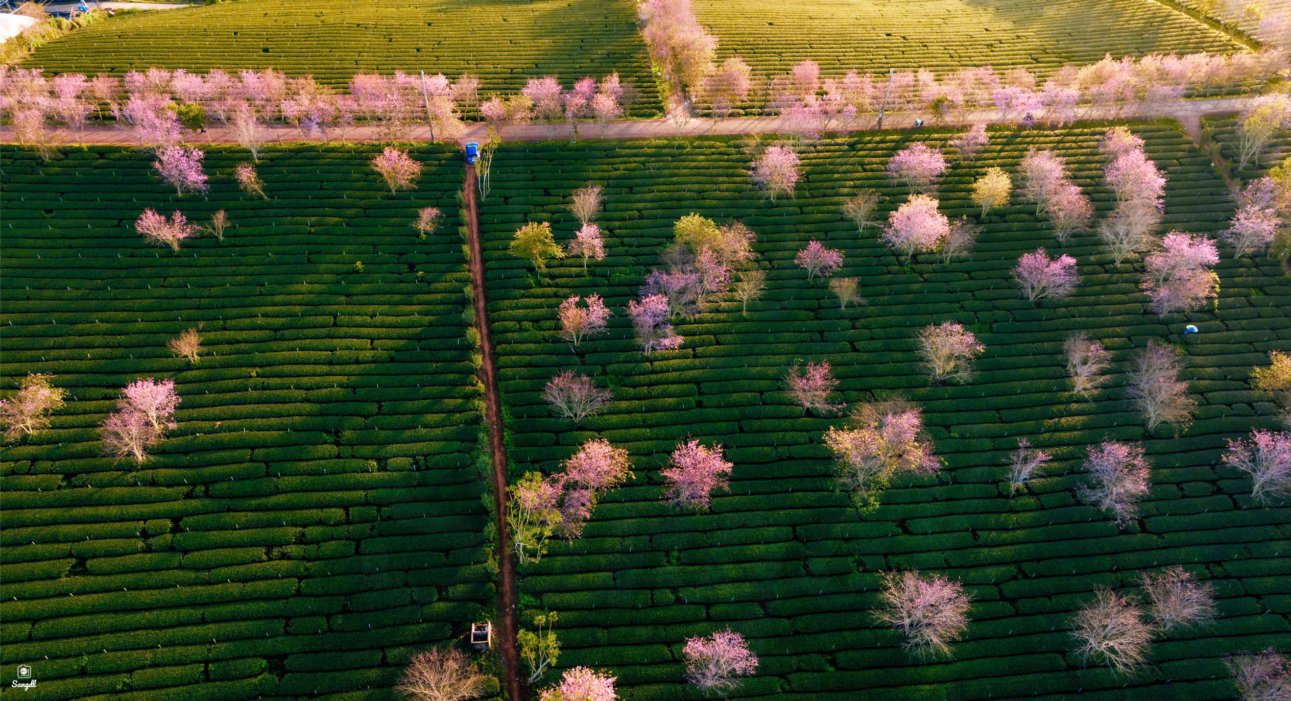 Mặc trời 