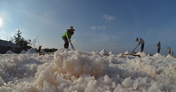 Tỉ phú trên đồng muối Bạc Liêu